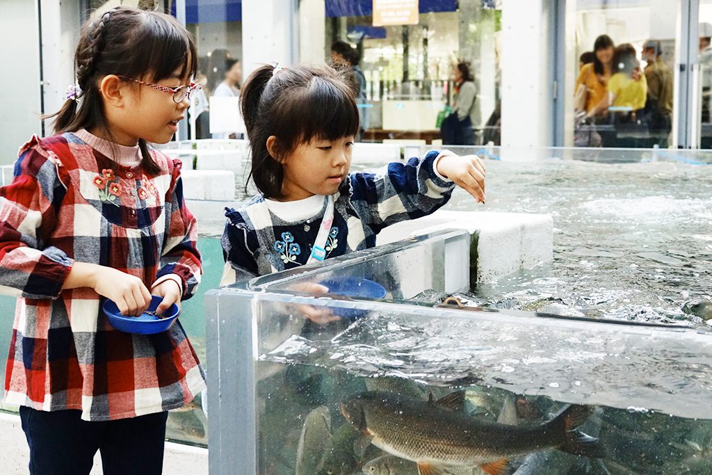 エサに寄ってくる魚たち/世界淡水魚園水族館 アクア・トト ぎふ(岐阜県/各務原市)