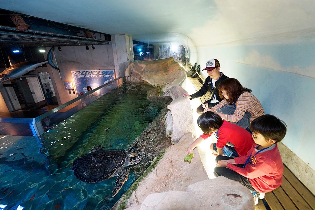 水槽を上から覗く親子/九十九島水族館海きらら(長崎県/佐世保市)