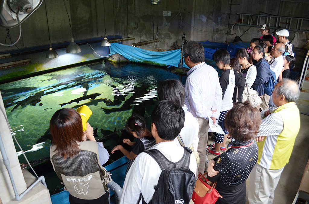 うら側探検ツアーで水族館の裏側を観察/鳥羽水族館(三重県/鳥羽市)