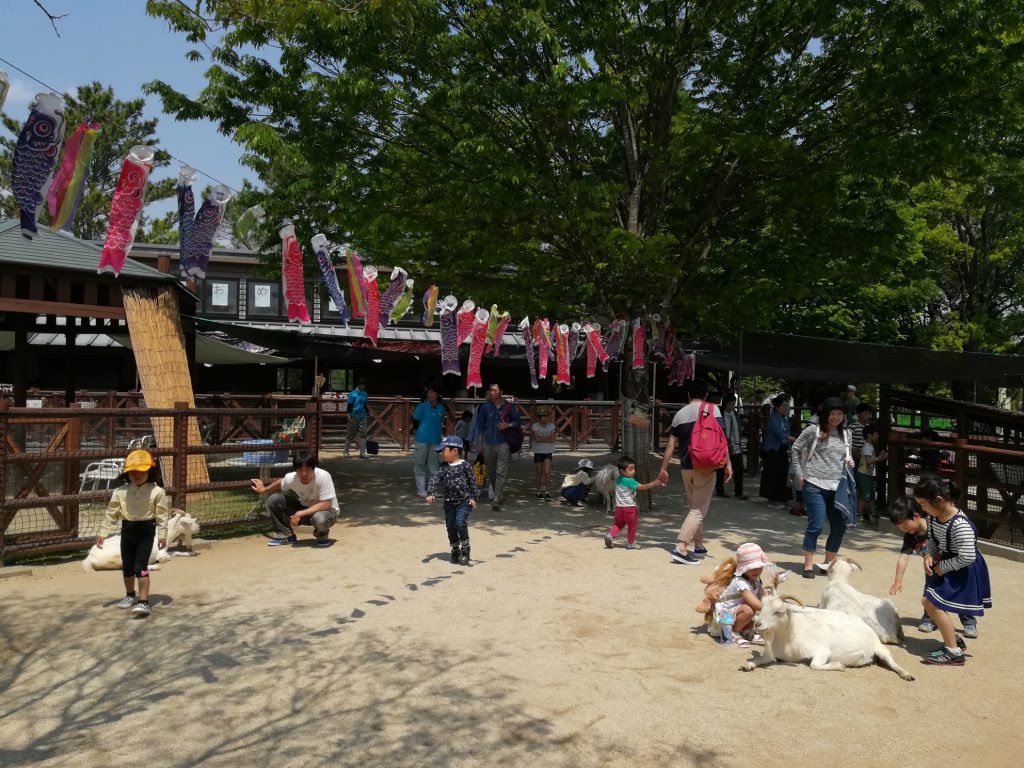 ヤギとふれあう子どもたち/熊本市動植物園