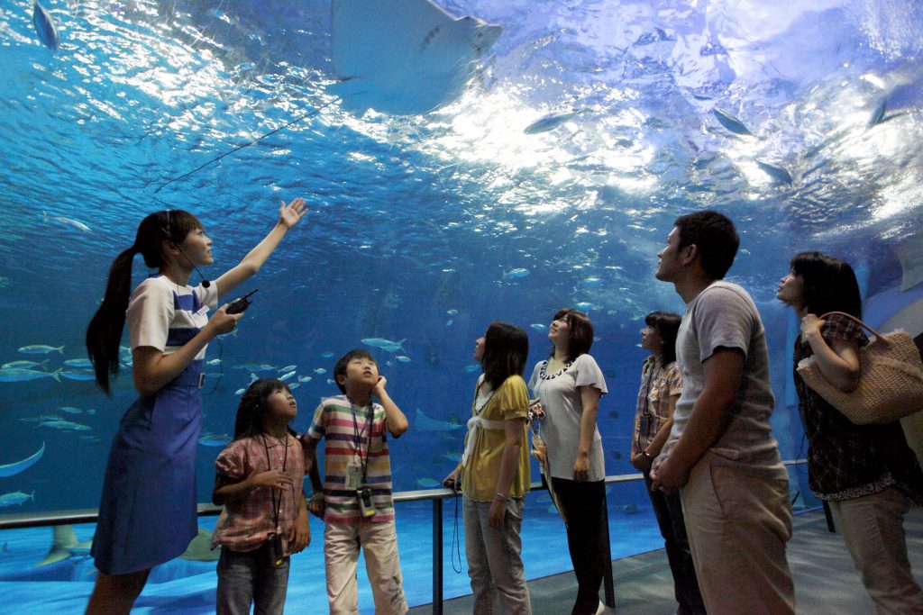 ガイドツアーなど充実の毎日開催されるイベントの様子/いおワールド かごしま水族館(鹿児島県/鹿児島市)