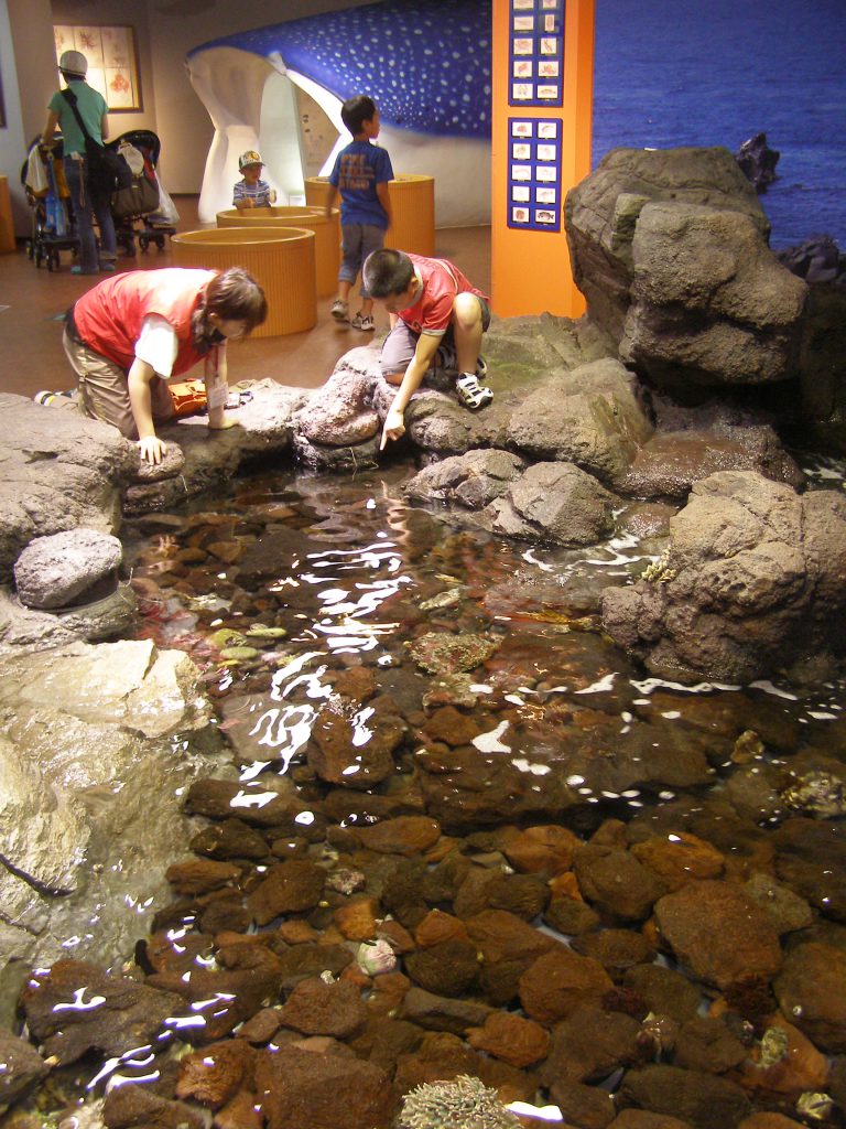 1階「ワクワクはっけんひろば」の様子/いおワールド かごしま水族館(鹿児島県/鹿児島市)