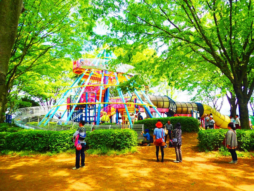 子供広場の遊具/県西総合公園(茨城県/筑西市)