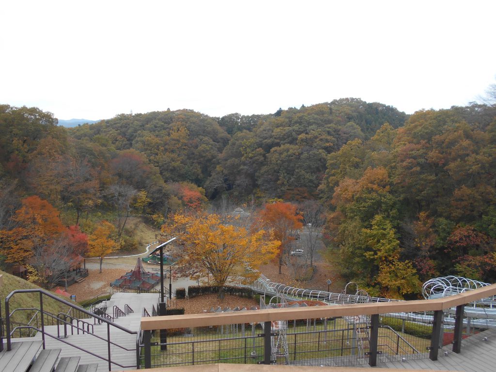アスレチック施設全景/大子広域公園(茨城県/久慈郡大子町)
