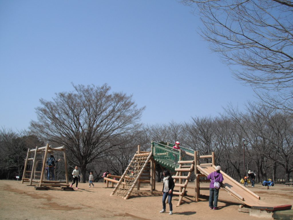 木製アスレチック遊具で遊ぶ人々/千葉県立柏の葉公園