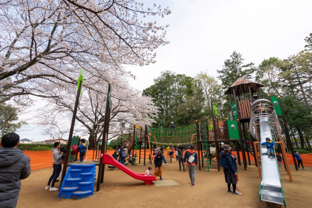 大型複合遊具「ツリーハウスと冒険の森コンビネーション」/流山市総合運動公園(千葉県)