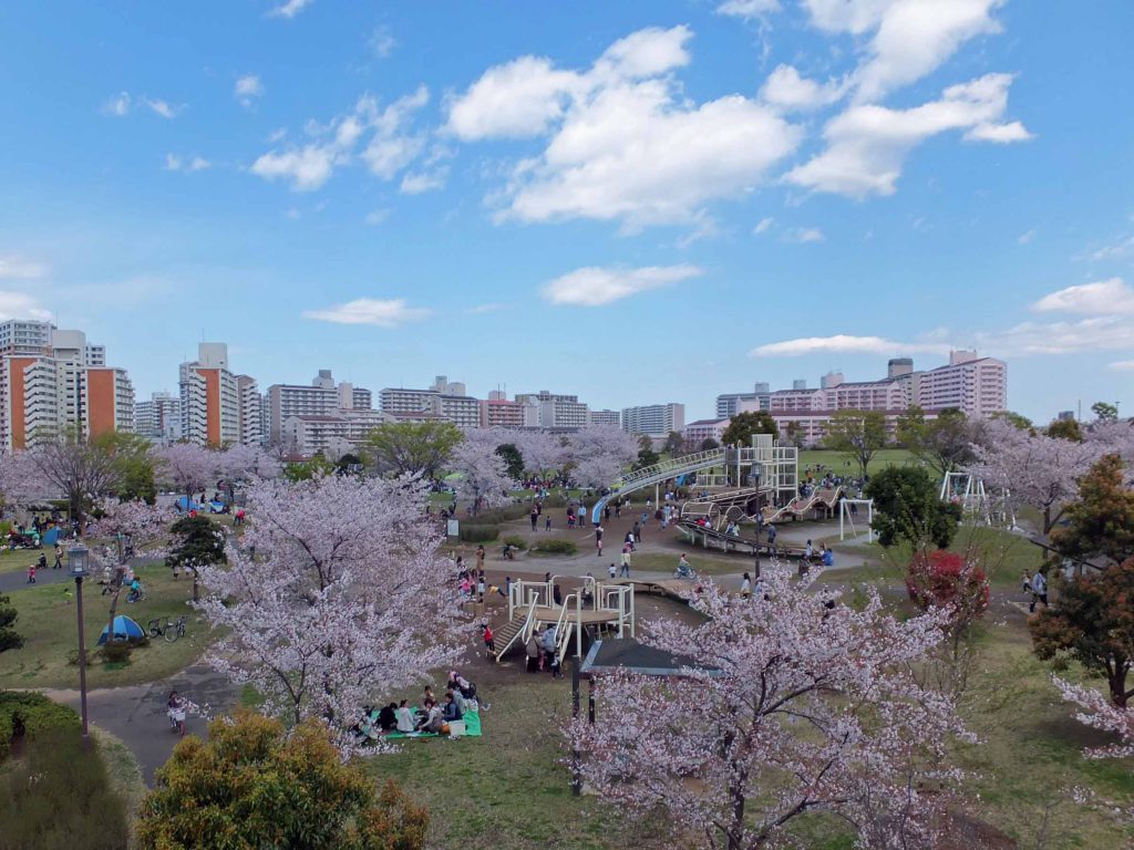 アスレチック広場のほぼ全景/大島小松川公園(東京都/江東区)