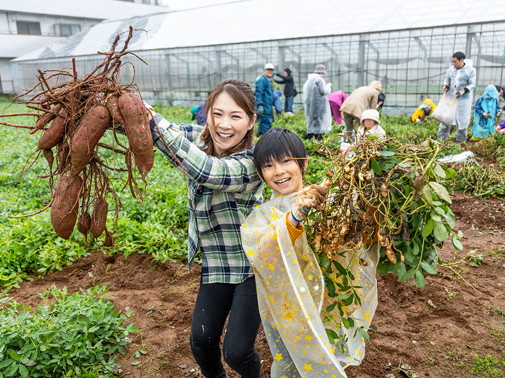 野菜の収穫体験(東京都/江戸川区)
