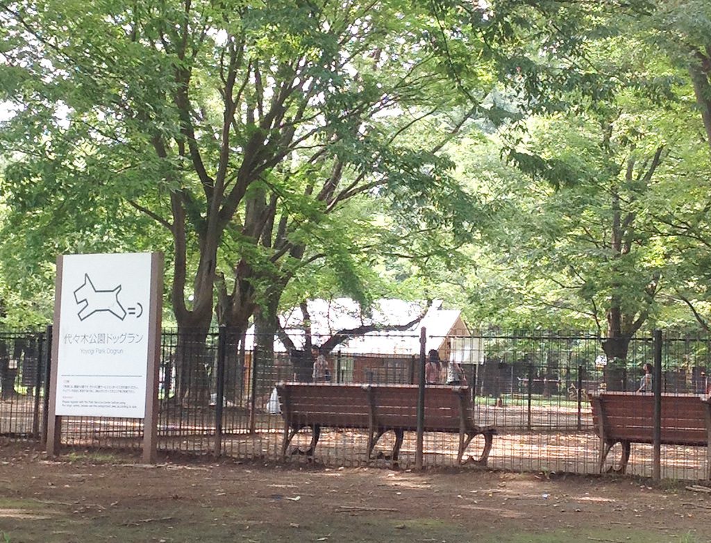 公園内のドッグラン/代々木公園(東京都/渋谷区)