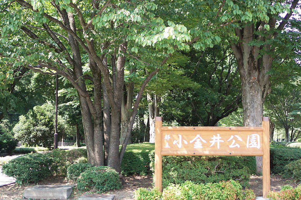 小金井公園入口(東京都/小金井市)