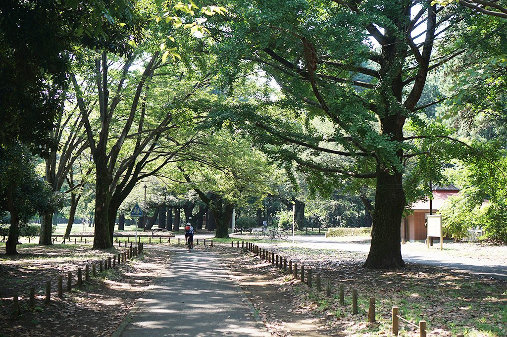 サイクリングコース/小金井公園(東京都/小金井市)