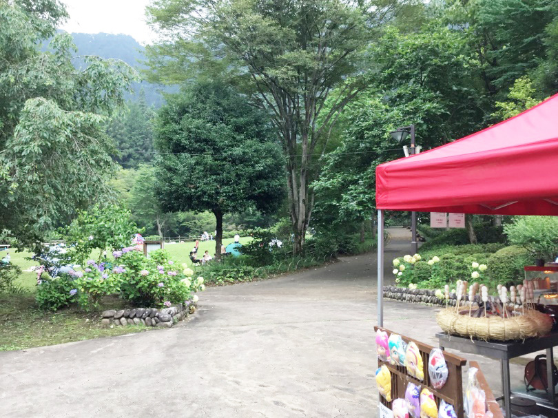 芝生広場の出店/夕やけ小やけふれあいの里(東京都/八王子市)