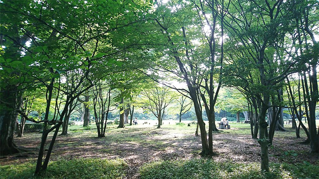 北の丸公園/科学技術館(東京都/千代田区)