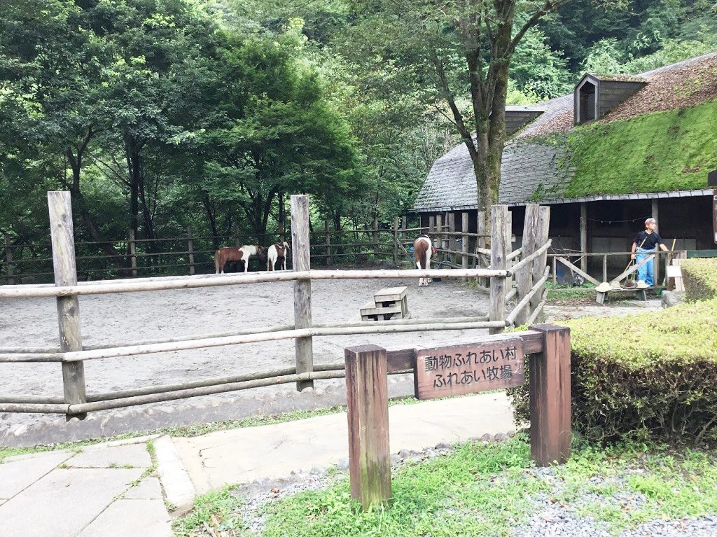 ふれあい牧場の馬/夕やけ小やけふれあいの里(東京都/八王子市)
