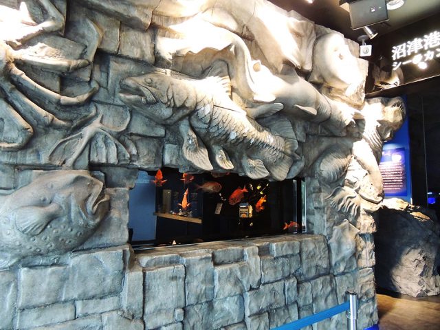 ウエルカム水槽/沼津港深海水族館 シーラカンス・ミュージアム(静岡県/沼津市)