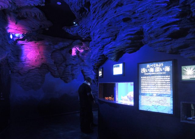 深海にいるような館内/沼津港深海水族館 シーラカンス・ミュージアム(静岡県/沼津市)