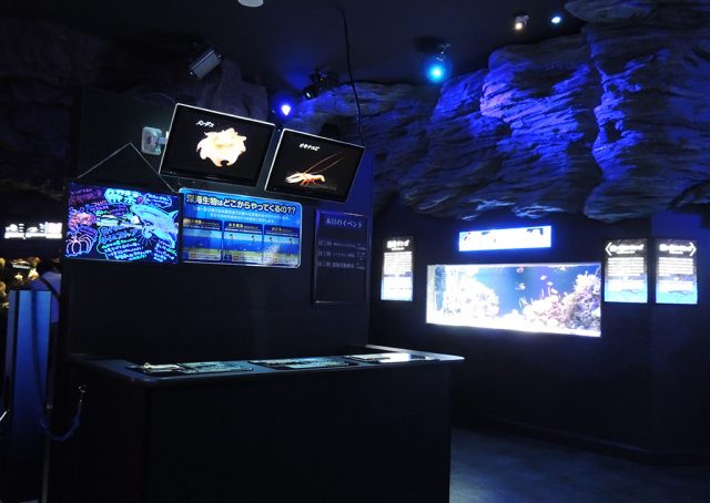 深い海エリア/沼津港深海水族館 シーラカンス・ミュージアム(静岡県)