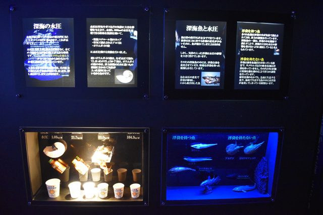 深海と水圧の解説パネル/沼津港深海水族館 シーラカンス・ミュージアム(静岡県/沼津市)