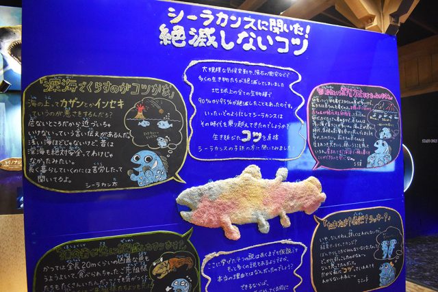 イラストパネル/沼津港深海水族館 シーラカンス・ミュージアム(静岡県/沼津市)