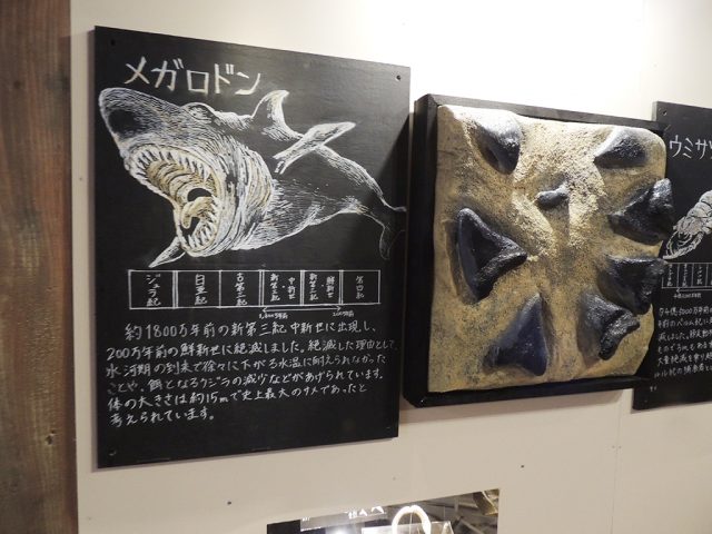 メガドロンの説明/沼津港深海水族館 シーラカンス・ミュージアム(静岡県/沼津市)