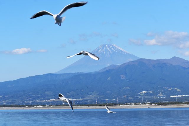 船上から見える富士山/沼津港深海水族館 シーラカンス・ミュージアム(静岡県/沼津市)