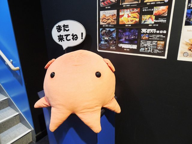 出口のメンダコぬいぐるみ/沼津港深海水族館 シーラカンス・ミュージアム(静岡県/沼津市)