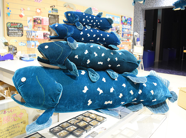 シーラカンスぬいぐるみ/沼津港深海水族館 シーラカンス・ミュージアム(静岡県/沼津市)