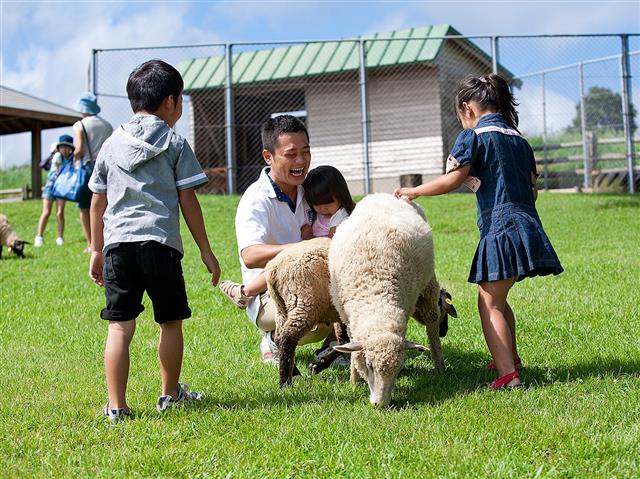 高千穂牧場(都城市)