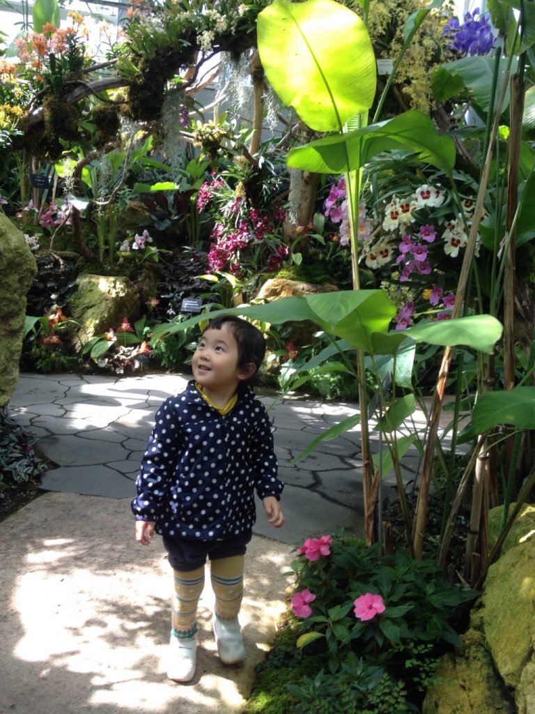 人気の温室/高知県立牧野植物園(高知県/高知市)