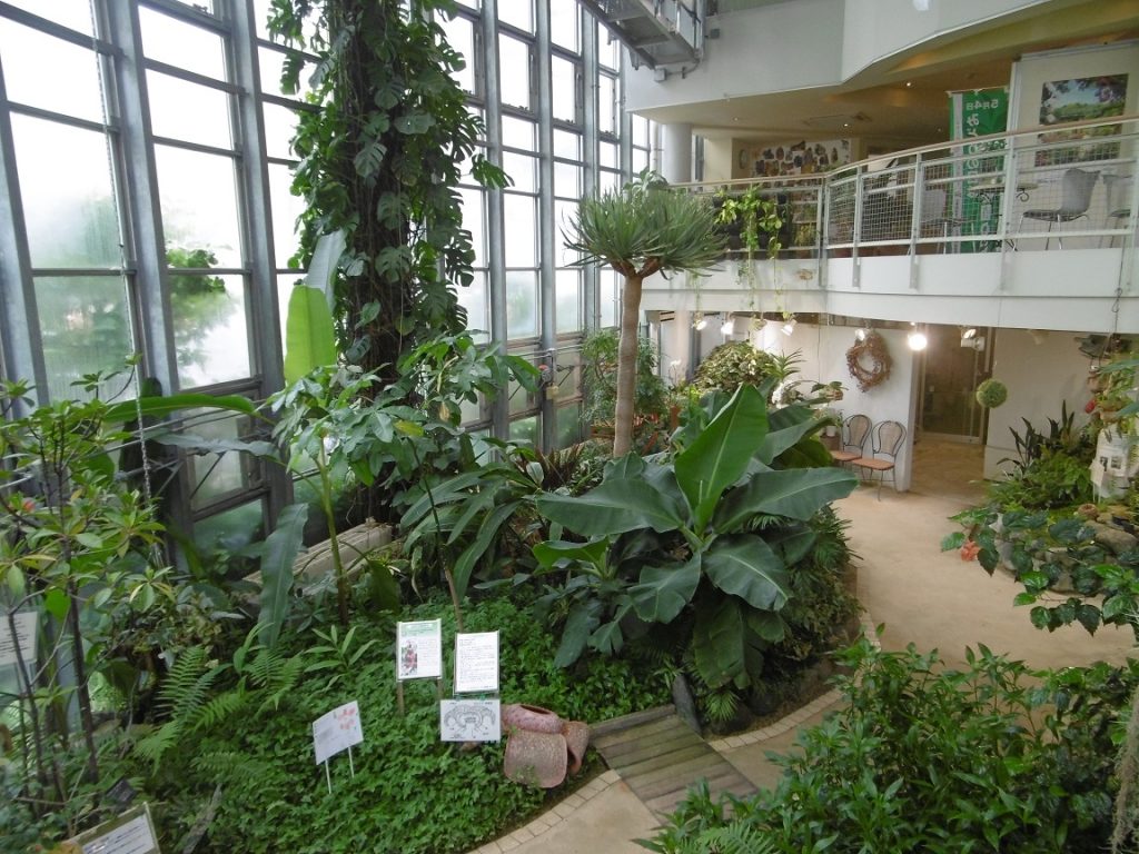 1階「グリーンガーデン」/渋谷区ふれあい植物センター(東京都/渋谷区)