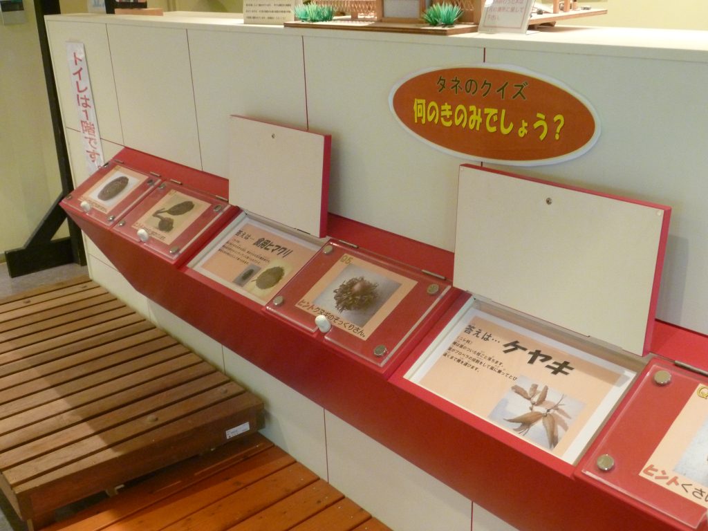 2階「不思議ボックス」/渋谷区ふれあい植物センター(東京都/渋谷区)