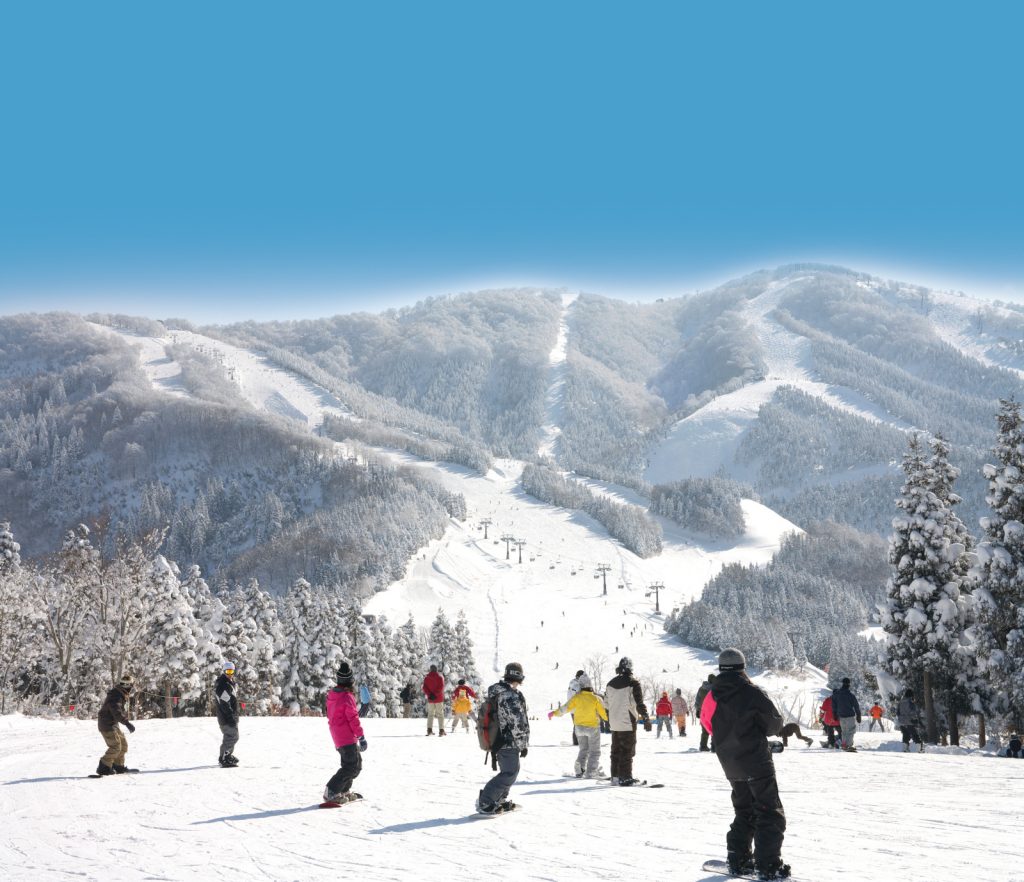 西日本最大級を誇るビッグゲレンデ/スキージャム勝山(福井県/勝山市)