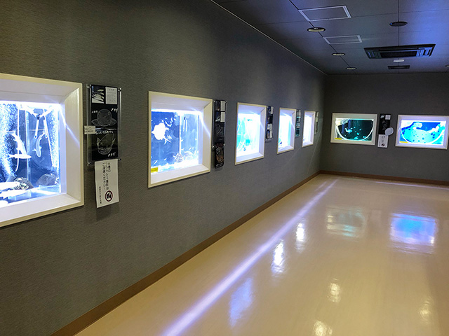 干潟交流館(佐賀県/鹿島市)