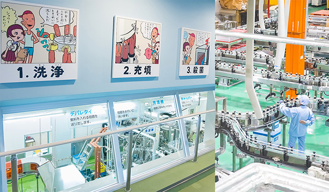 製造ライン/友桝飲料 工場見学(佐賀県/小城市)