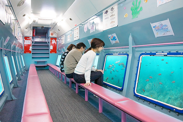 遊覧船のジーラの海中展望室/マリンパル呼子(佐賀県/唐津市)
