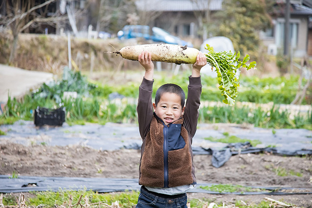 大根を収穫した子ども/農家民宿 具座(佐賀県/佐賀市)