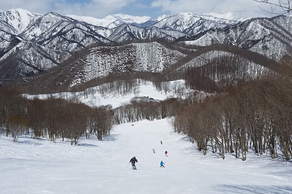 水上高原スキーリゾートのゲレンデ(群馬県/利根郡みなかみ町)