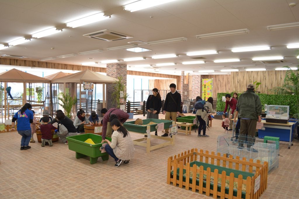 小動物ふれあいゾーン/ふれあい動物園 ライフズー(千葉県/千葉市)