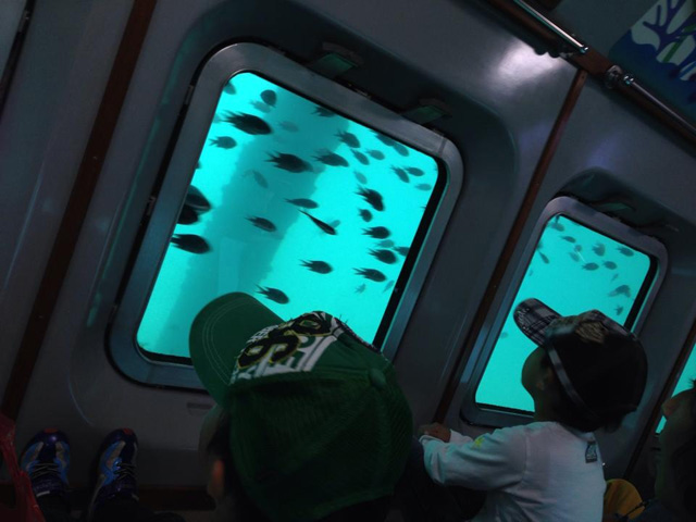 船内展望室の海中が見えるガラス窓/熱海遊覧船 サンレモ(静岡県熱海市)