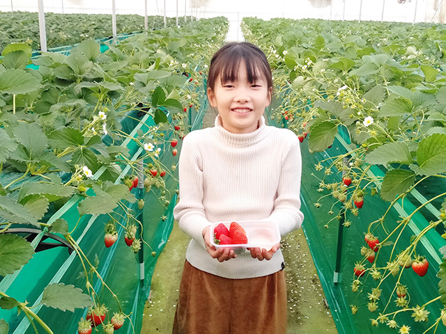いちご狩りを楽しむ子ども/エーアト・ベーレ(千葉県/千葉市)