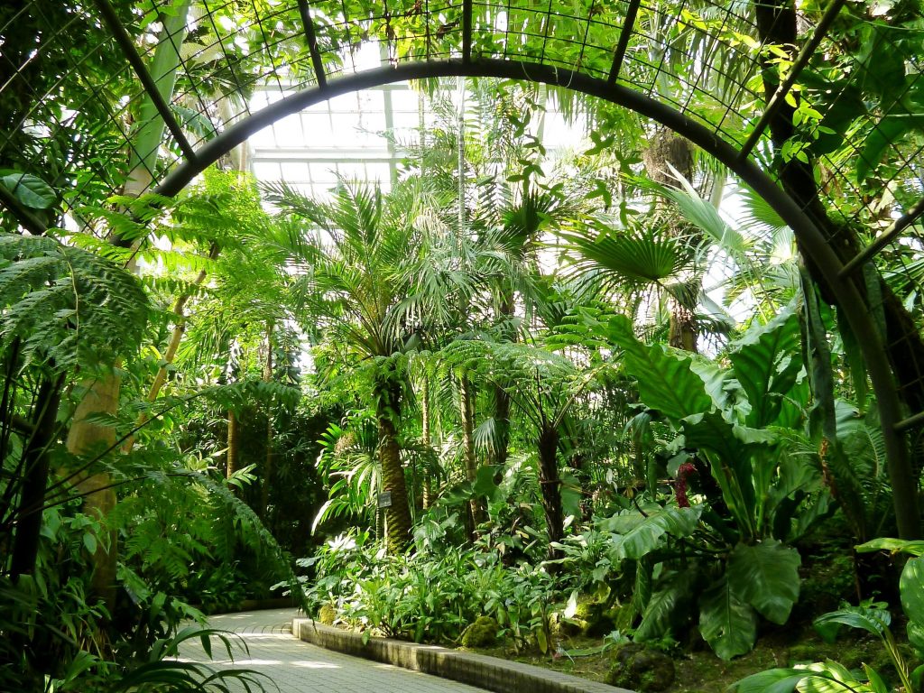 観覧温室/京都府立植物園(京都府/京都市)