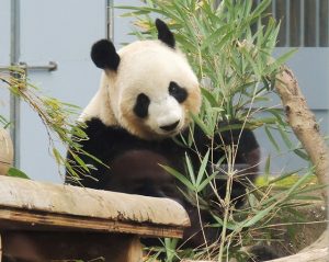 動物とのふれあい 子どもとおでかけ 旅行情報 記事一覧 ページ8 るるぶkids