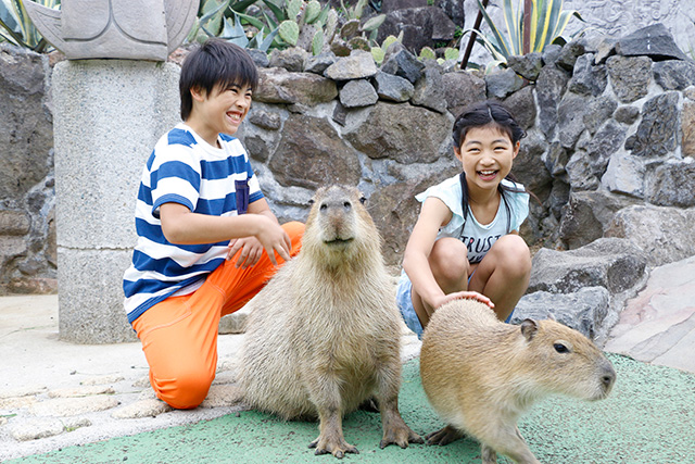 カピバラとふれあう子ども達/伊豆シャボテン動物公園(静岡県/伊東市)