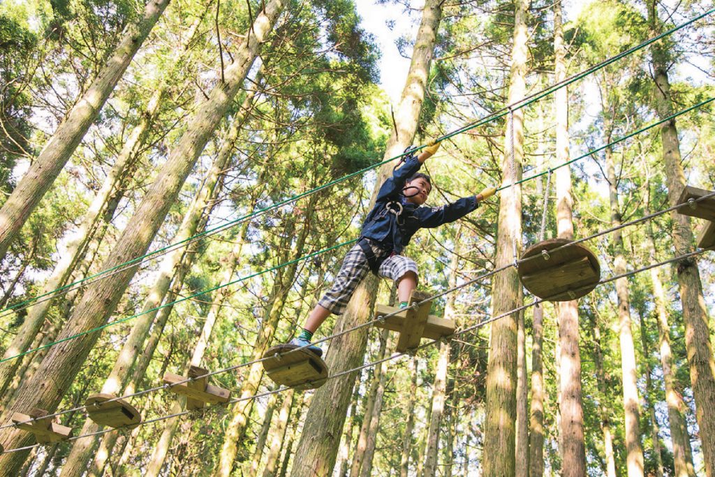 自然共生型パーク/フォレストアドベンチャー・神戸六甲山(兵庫県灘区)