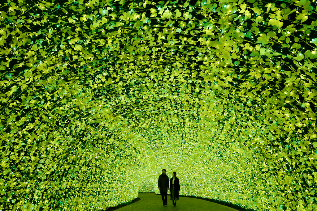 イルミネーション「100mのトンネル 菜の花」/なばなの里(三重県/桑名市)