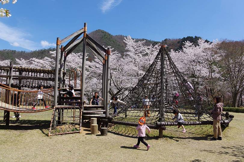 木製の複合アスレチック遊具/大野ダム公園(京都府南丹市)