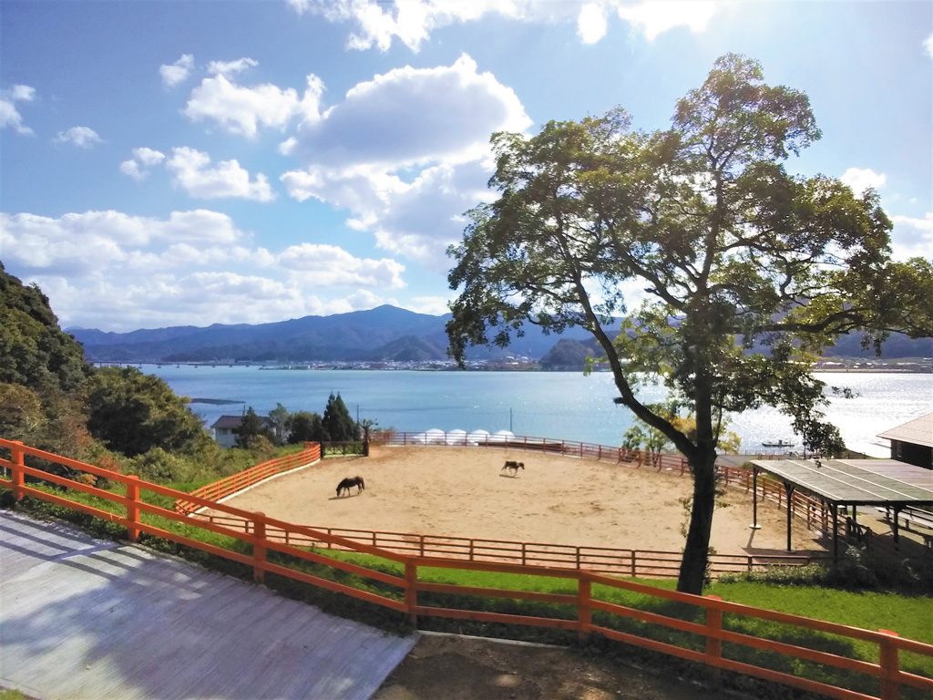 青戸ベイサイドヒルズ(福井県/おおい町)