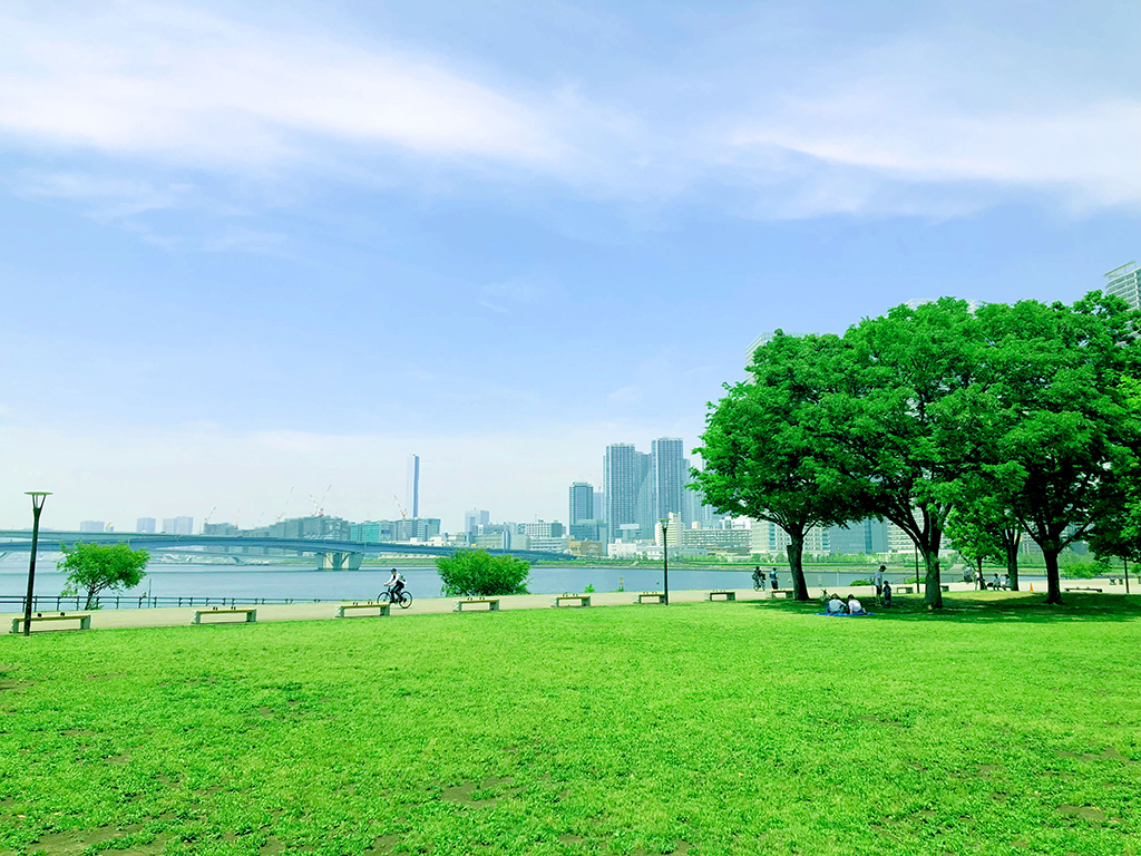 豊洲公園(東京都/江東区)