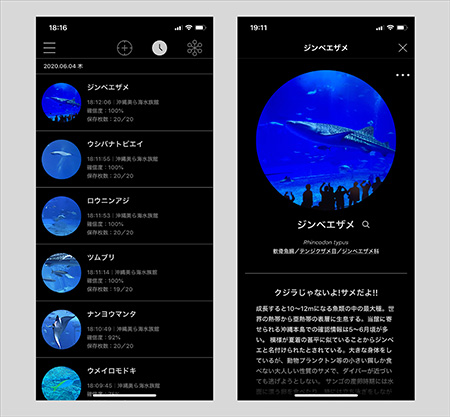 認識結果の自動記録と、施設のオリジナル解説(イメージ)/「LINNÉ LENS(リンネレンズ)」