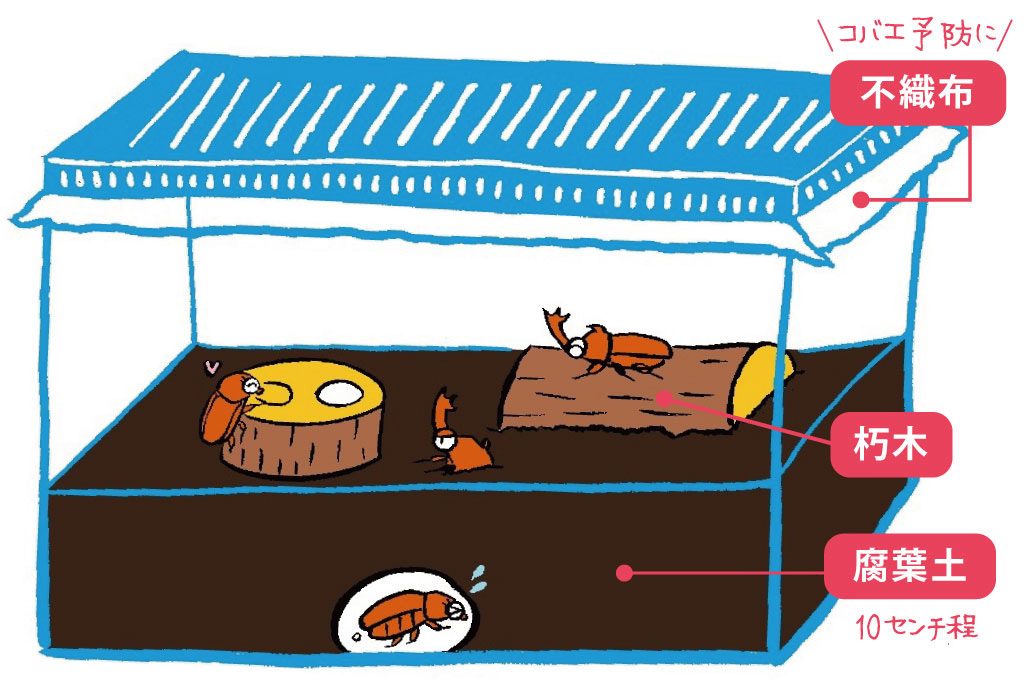 快適な昆虫部屋を作ろう!イラスト